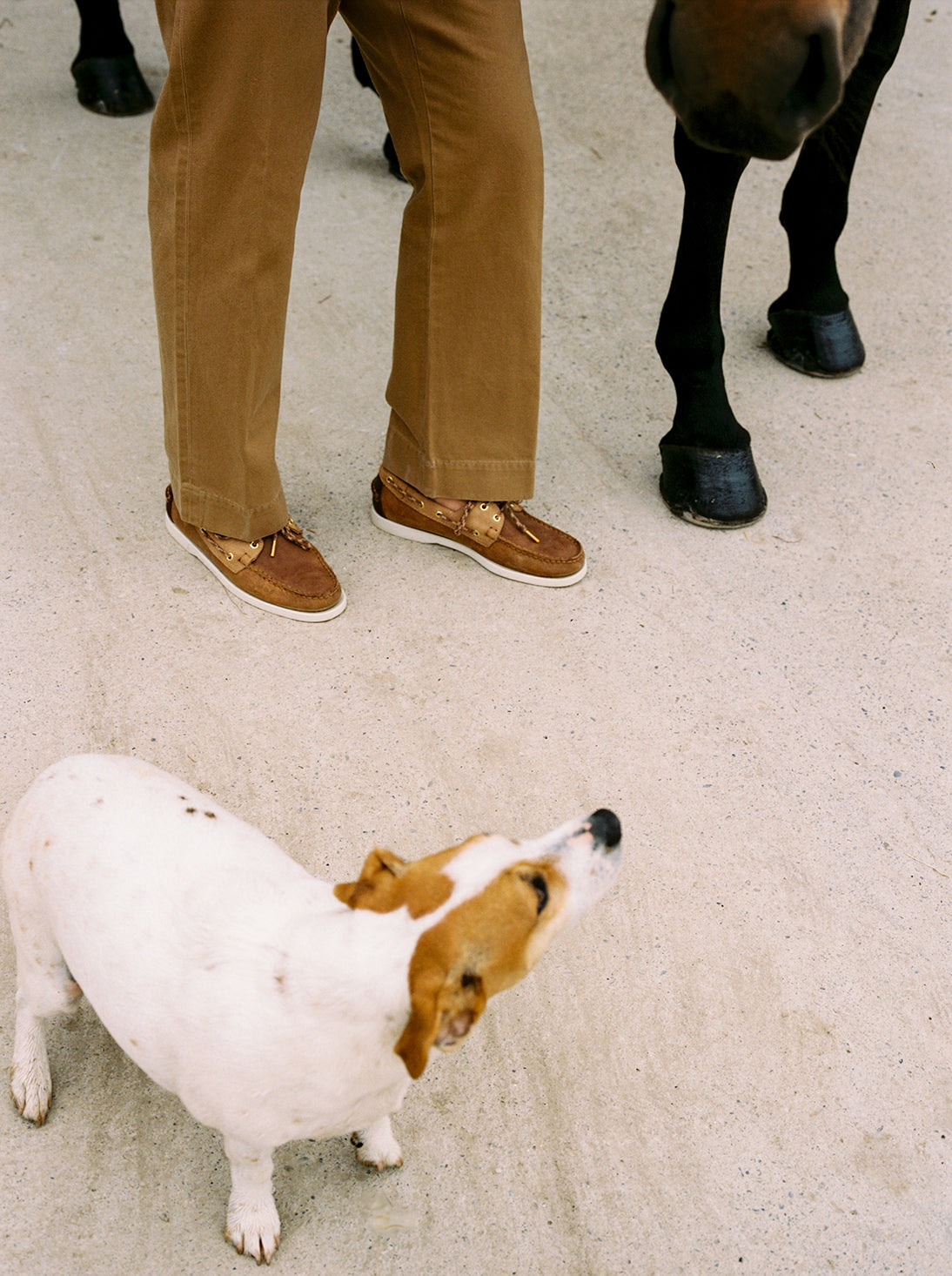 Sebago, Docksides, portland Bec fin, brown meerkat, brown cognac, brown brunette