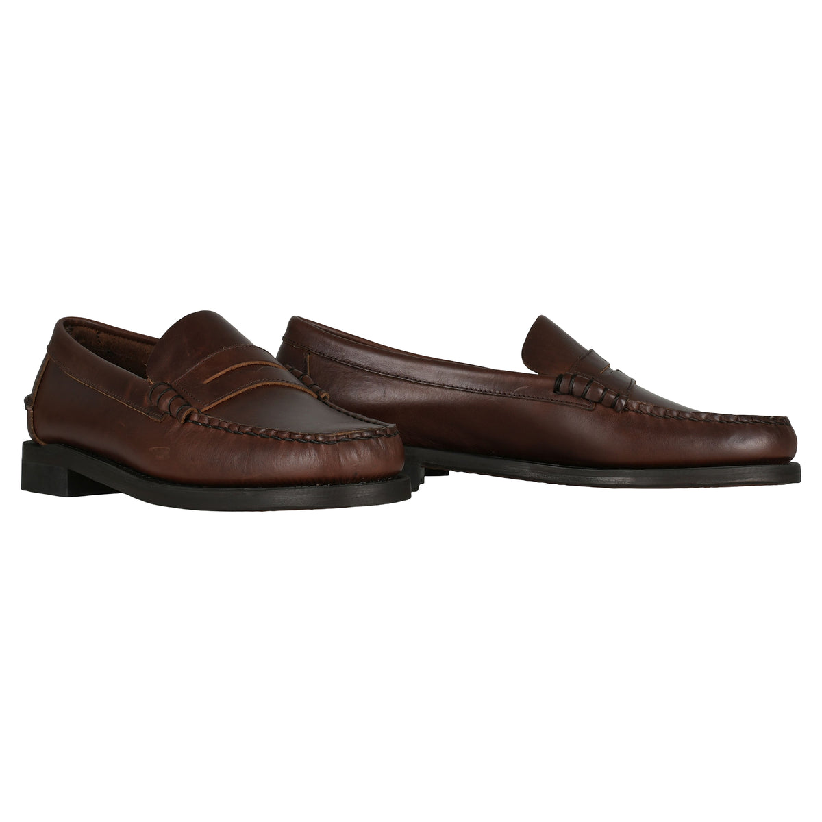 H6_CLASSIC DAN WAXY_7000310