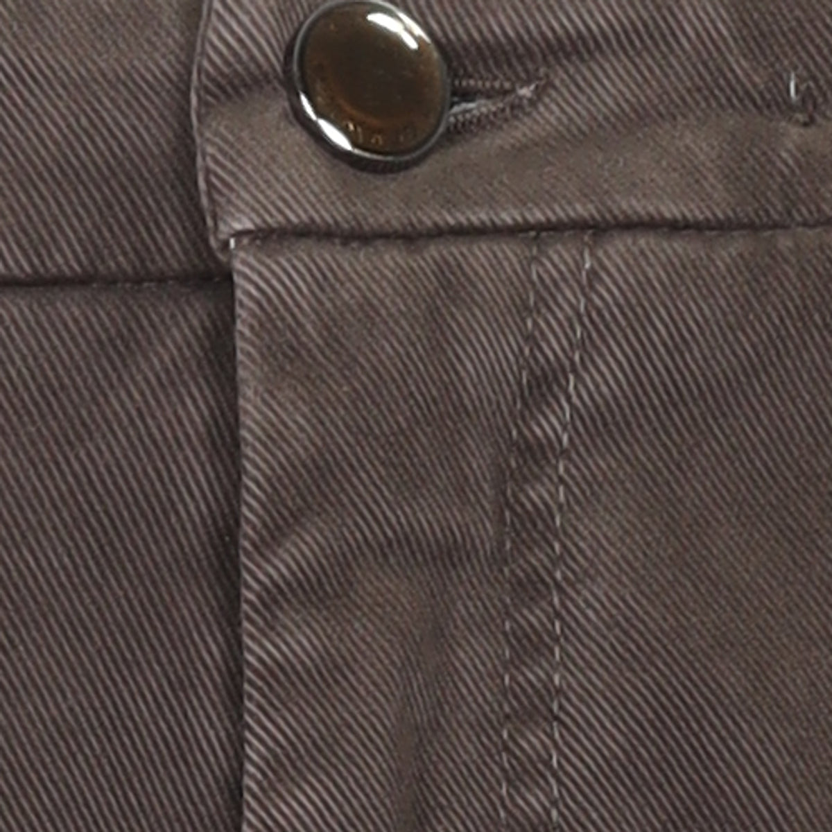 Berwich, Pantalon Chiaia — Marron