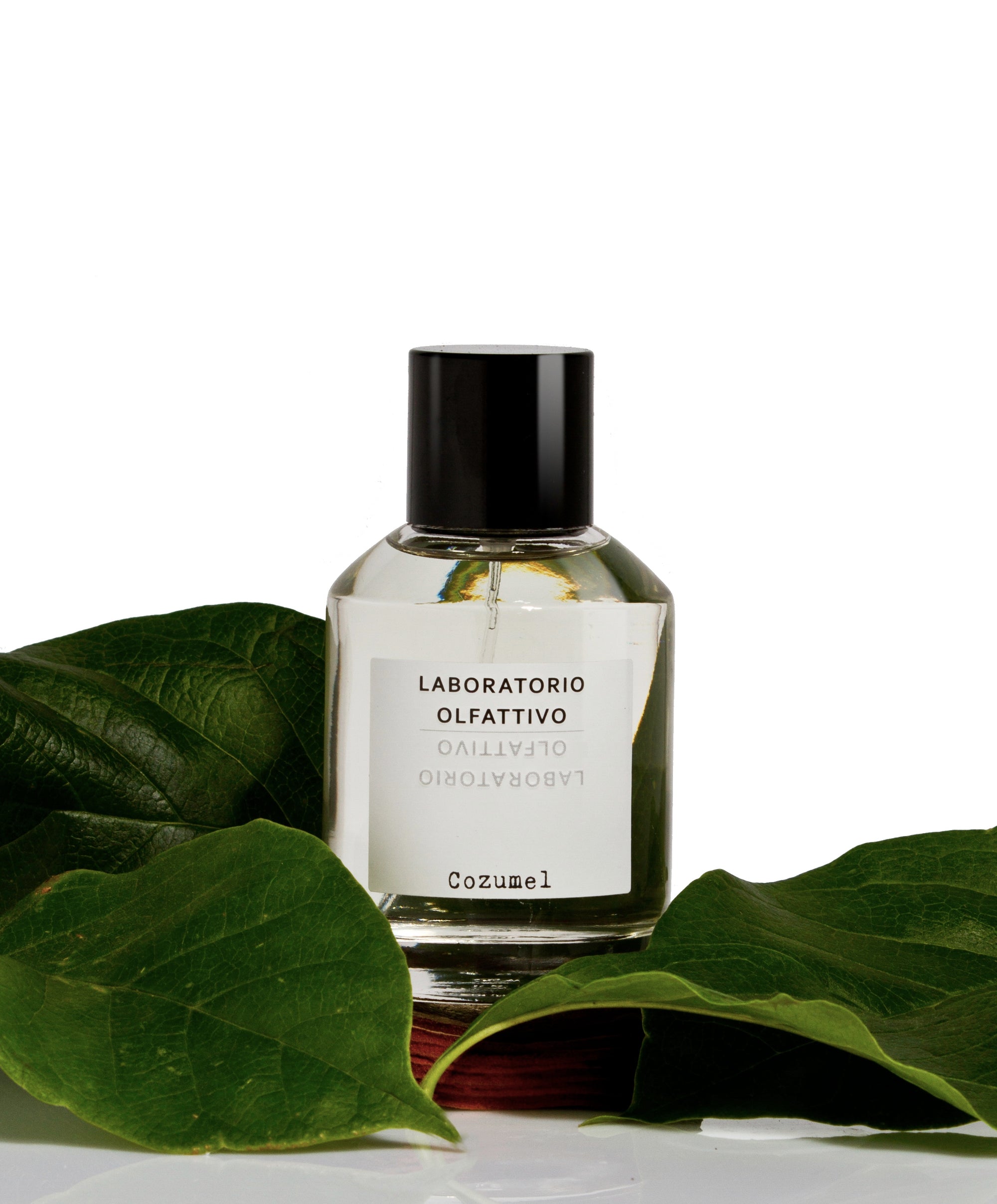 Laboratorio Olfattivo, Eau de Parfum COZUMEL 100ml